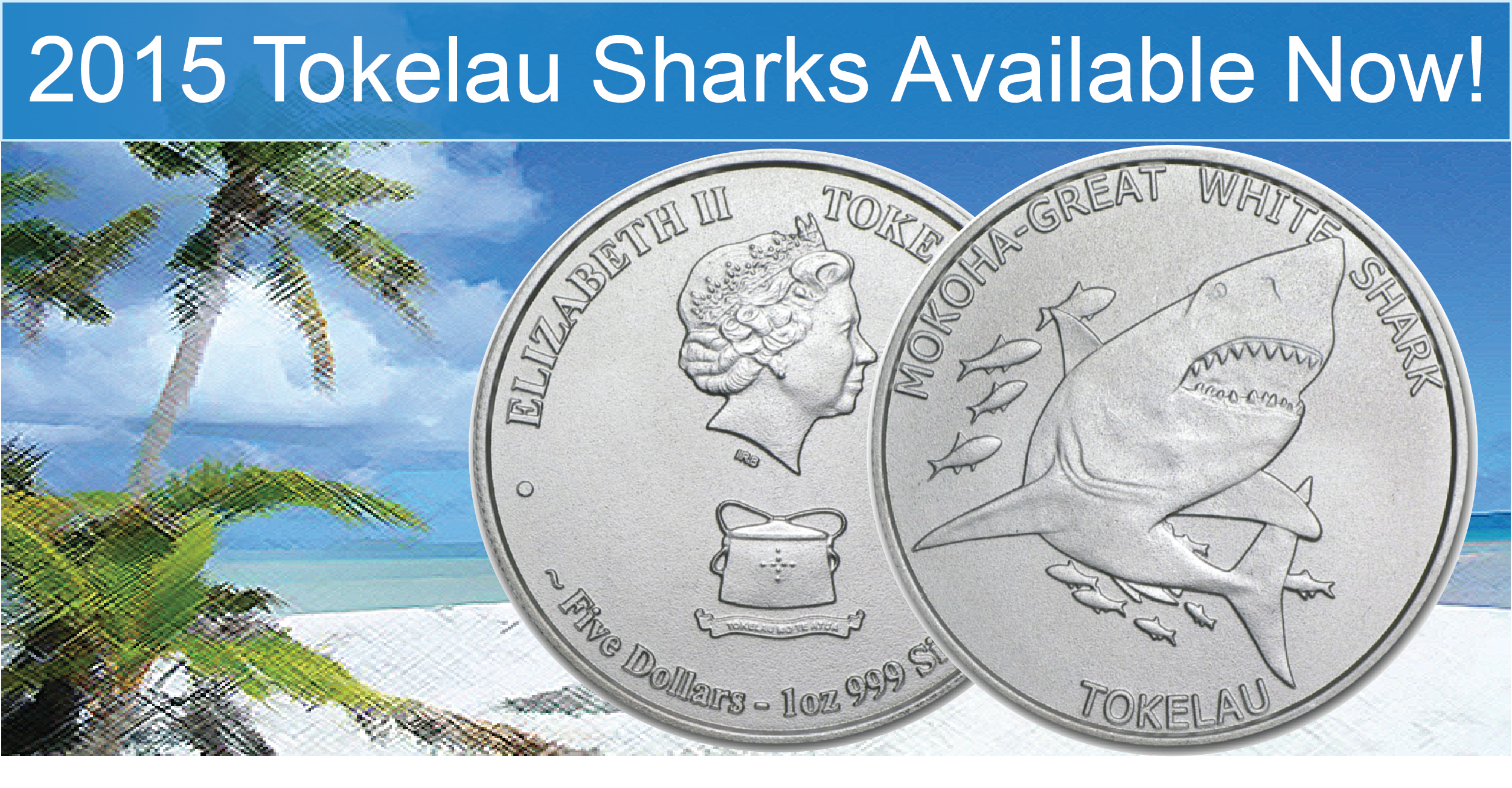 Tokelau Shark Promo